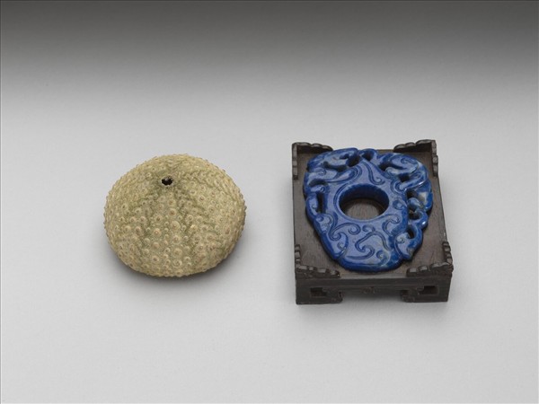 芮氏刻肋海膽標本與青金石韘形佩