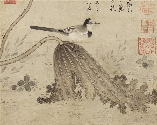 元趙孟頫臨黃筌蓮塘圖　軸