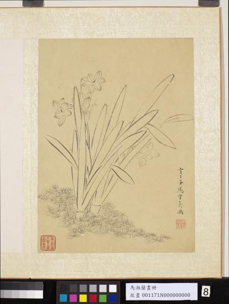 明馬守真畫冊　冊　白描水仙