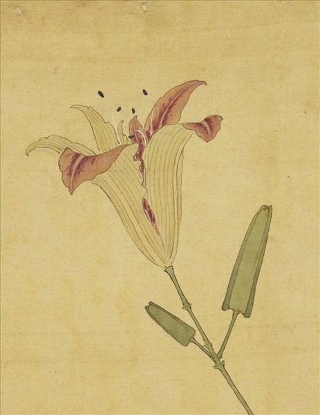 清陳字文房集錦　冊　萱花