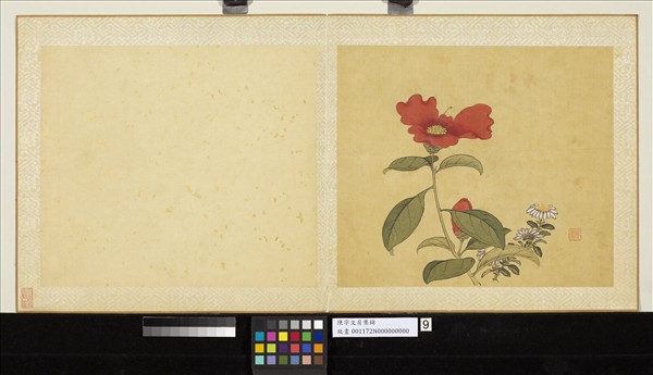 清陳字文房集錦　冊　山茶野菊