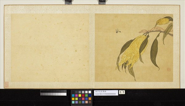 清陳字文房集錦　冊　佛手柑