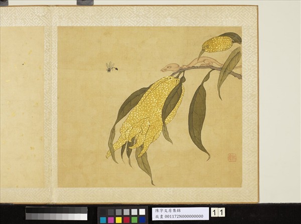 清陳字文房集錦　冊　佛手柑