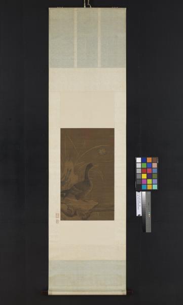 宋人秋荷野鳧圖　軸