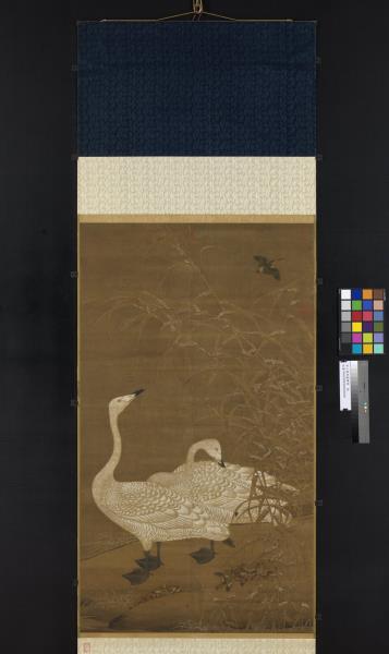 中山雪邨【雁・鴨】絹本　掛軸 中山雪邨【雁・鴨】絹本 掛軸