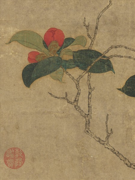 宋人山茶寫生　軸