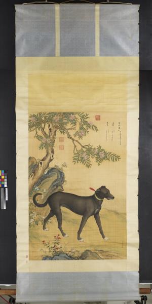 清郎世寧畫十駿犬雪爪盧　軸