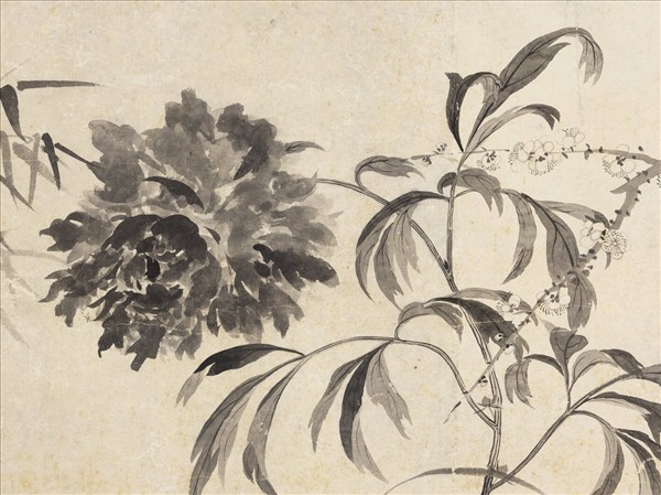 清鄒一桂寫生花卉　軸