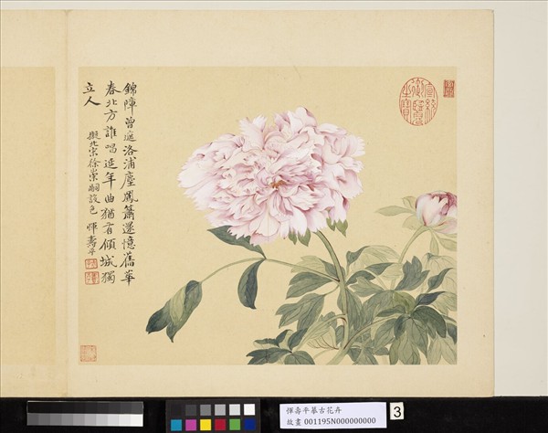 清惲壽平摹古　冊　牡丹