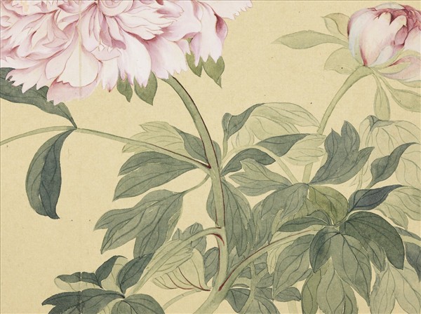 清惲壽平摹古　冊　牡丹