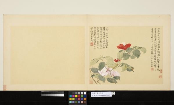 清惲壽平摹古冊山茶- 故宮