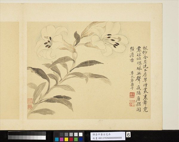 清惲壽平摹古冊百合- 故宮