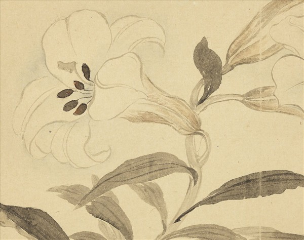 清惲壽平摹古　冊　百合