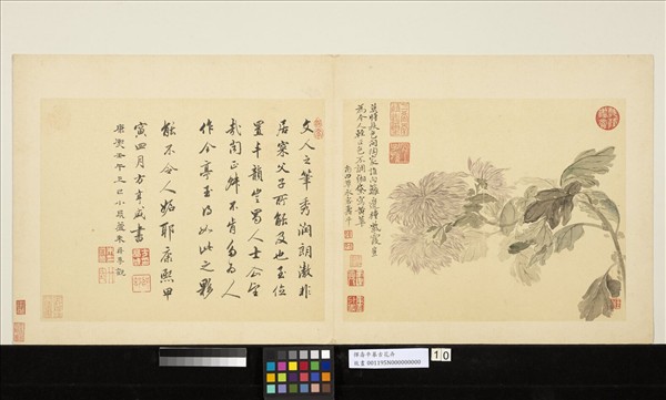 清惲壽平摹古　冊　菊花