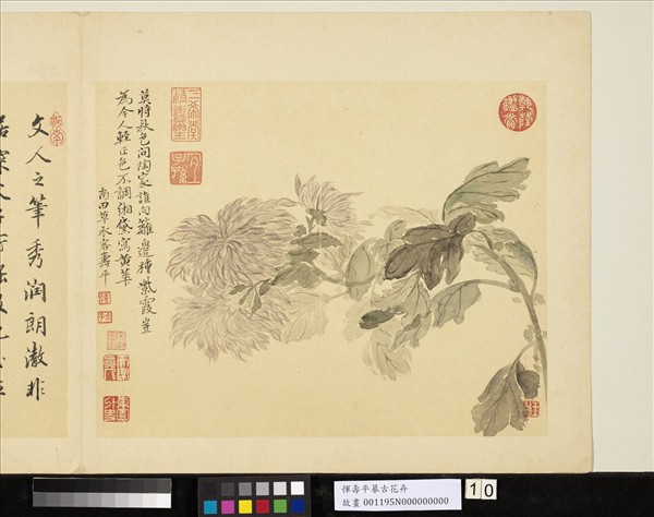 清惲壽平摹古　冊　菊花