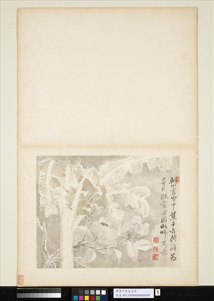 清惲壽平寫生花卉　冊　雪中蕉