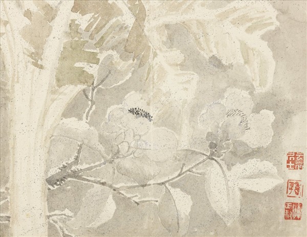 清惲壽平寫生花卉　冊　雪中蕉