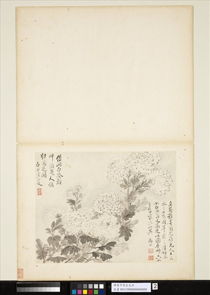 清惲壽平寫生花卉　冊　墨菊