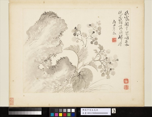 清惲壽平寫生花卉　冊　秋露闌干