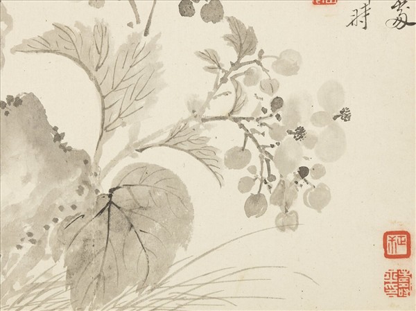 清惲壽平寫生花卉　冊　秋露闌干