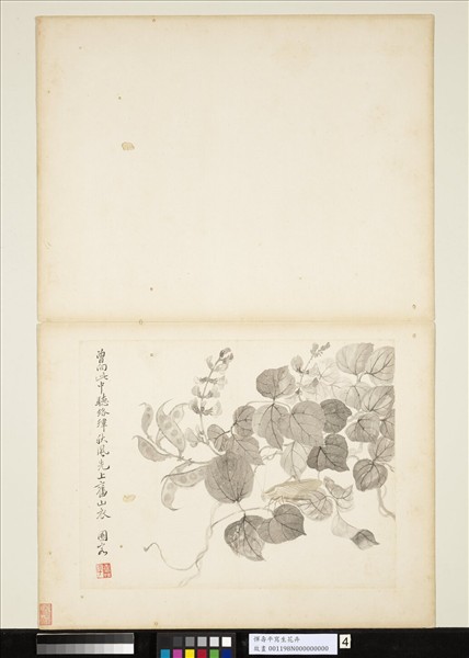 清惲壽平寫生花卉　冊　促織夾荳