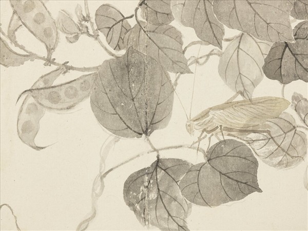 清惲壽平寫生花卉　冊　促織夾荳