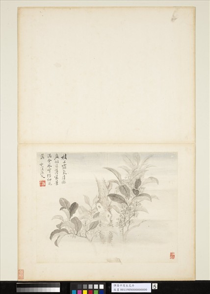 清惲壽平寫生花卉　冊　枝上霜氣