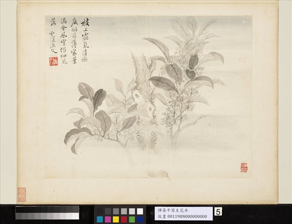 清惲壽平寫生花卉　冊　枝上霜氣