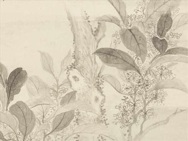 清惲壽平寫生花卉　冊　枝上霜氣