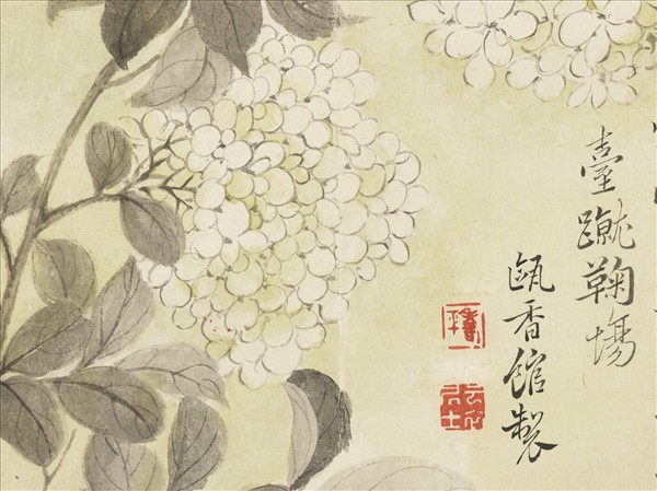 清惲壽平寫生花卉　冊　繡球花