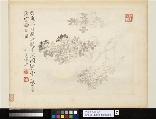 清惲壽平寫生花卉　冊　秋空摘月