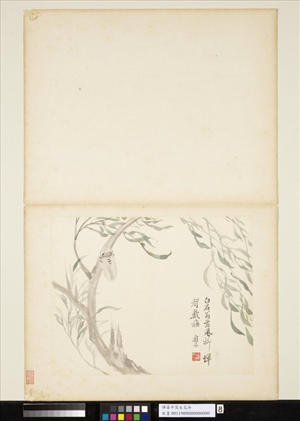 清惲壽平寫生花卉　冊　風柳蟬聲