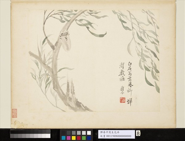 清惲壽平寫生花卉　冊　風柳蟬聲