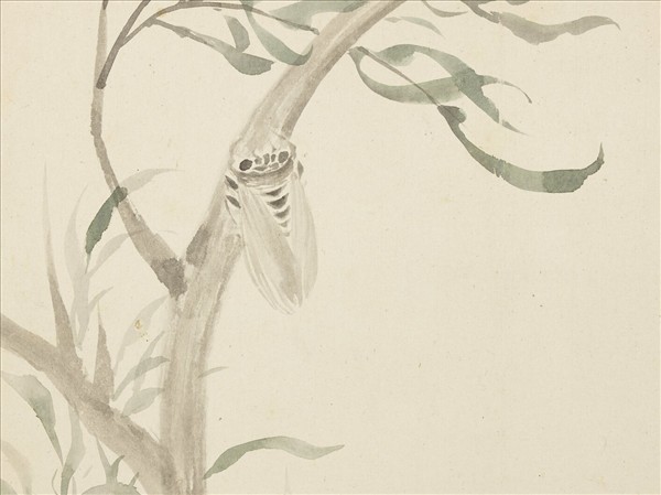 清惲壽平寫生花卉　冊　風柳蟬聲