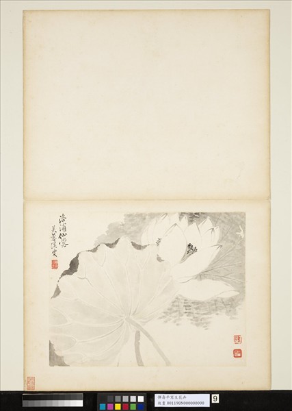 清惲壽平寫生花卉　冊　洛浦仙裳