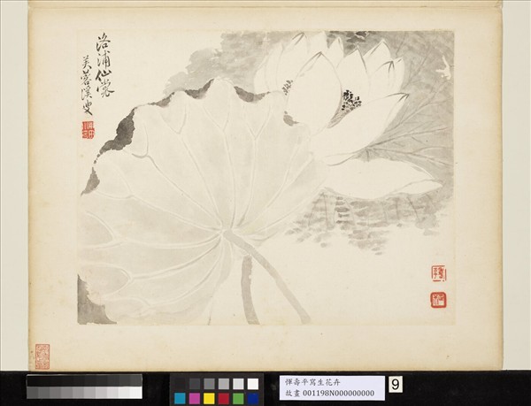 清惲壽平寫生花卉　冊　洛浦仙裳