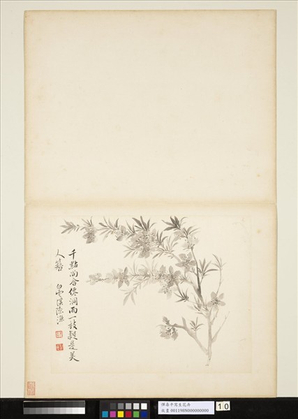 清惲壽平寫生花卉　冊　山桃