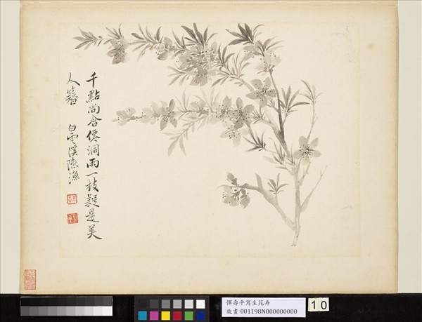 清惲壽平寫生花卉　冊　山桃