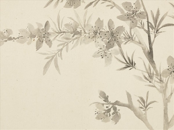 清惲壽平寫生花卉　冊　山桃