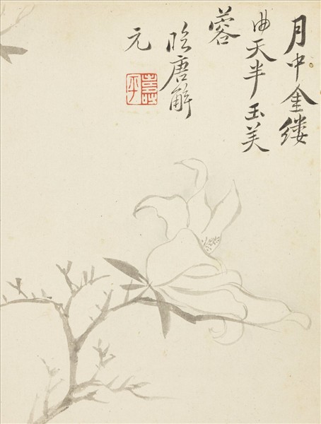 清惲壽平寫生花卉　冊　玉芙蓉