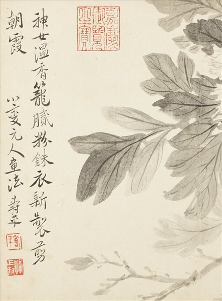 清惲壽平寫生花卉　冊　牡丹