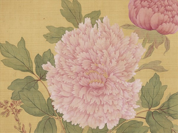 清惲壽平牡丹　冊　牡丹（一）