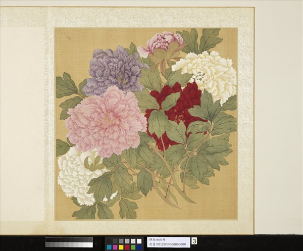 清惲壽平牡丹　冊　牡丹（三）