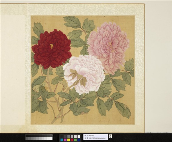 清惲壽平牡丹　冊　牡丹（五）