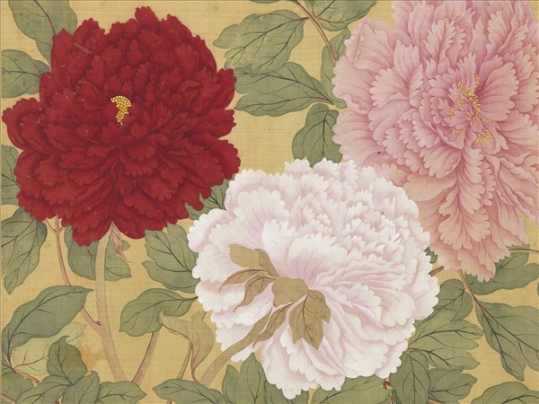 清惲壽平牡丹　冊　牡丹（五）