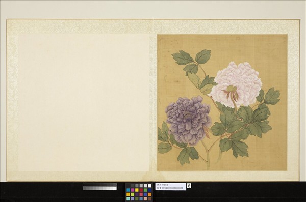 清惲壽平牡丹　冊　牡丹（六）