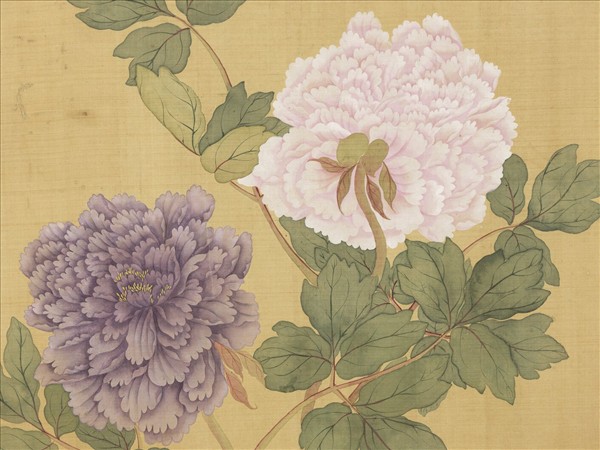 清惲壽平牡丹　冊　牡丹（六）