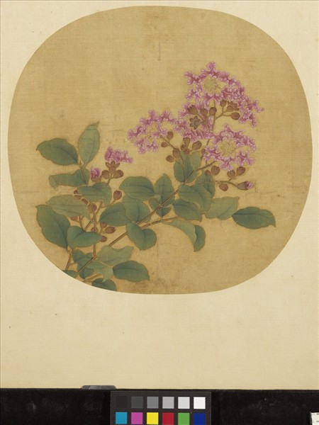 宋元集繪　冊　宋衛昇寫生紫薇