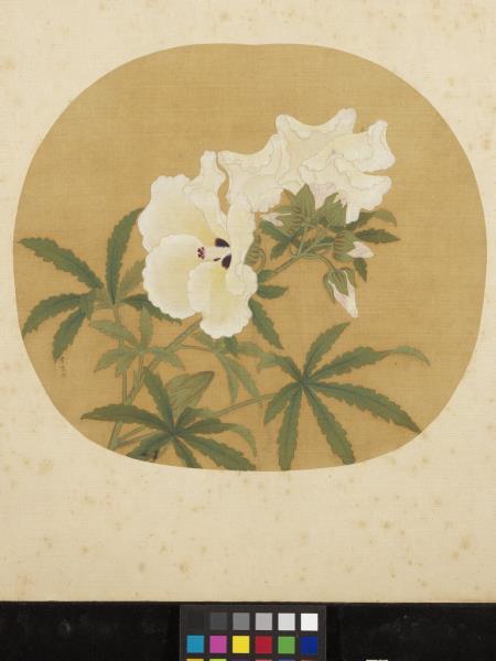 宋元集繪　冊　宋李東寫生秋葵