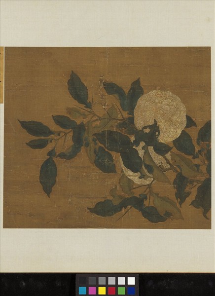 名繪集珍　冊　無款香實垂金